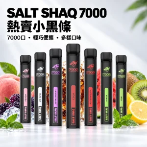 鯊克 SALT SHAQ 小黑條 拋棄式電子煙｜700口 500mAh 1.0Ω霧化芯｜19種口味